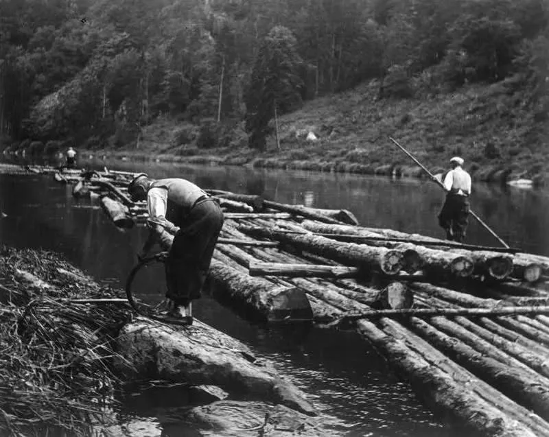 Hombres trabajando con troncos y balsas junto a una orilla boscosa